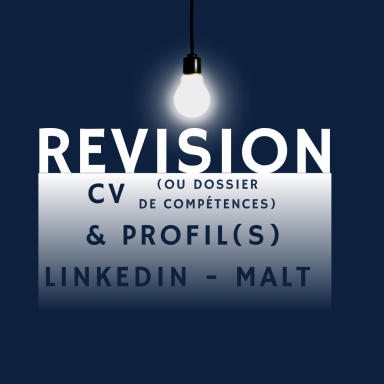 Pepitexpress faire un CV Data IT qui valorise compétences 